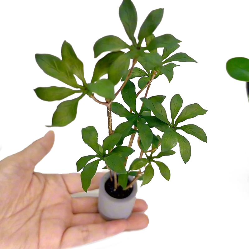 Bonsai Garden Pot - 1:6 миниатюрный кукольный домик в горшке,