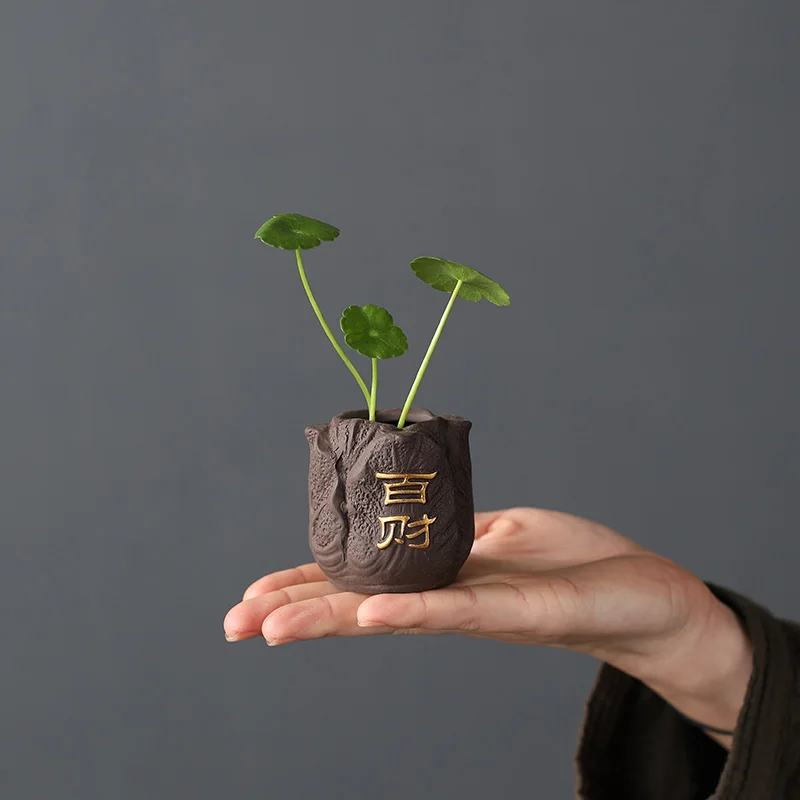 Креативный фиолетовый глиняный – обзор и цена Bonsai Garden Pot