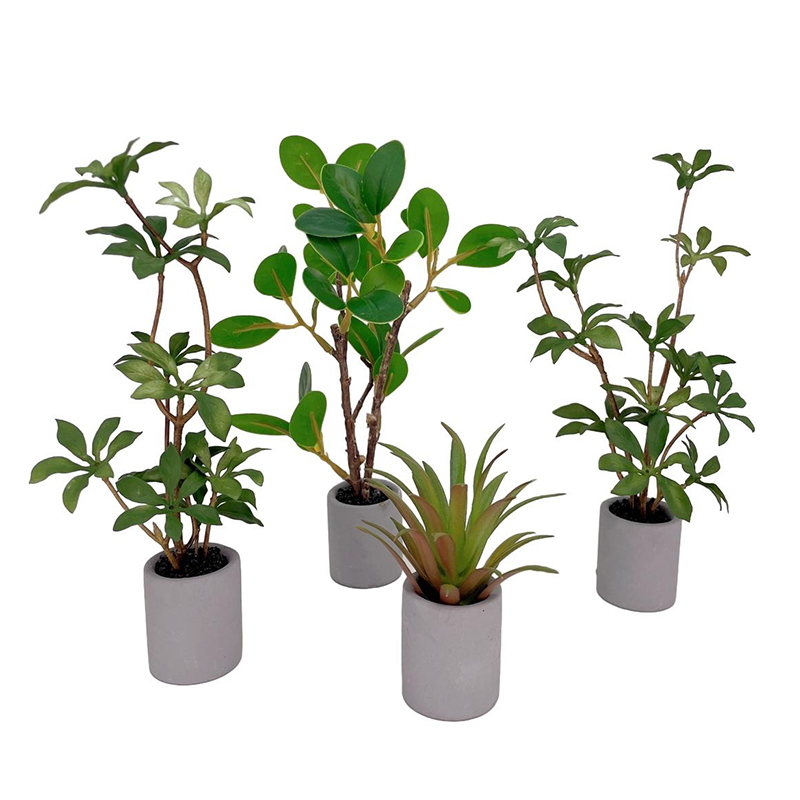 1:6 миниатюрный кукольный доми – обзор и цена Bonsai Garden Pot