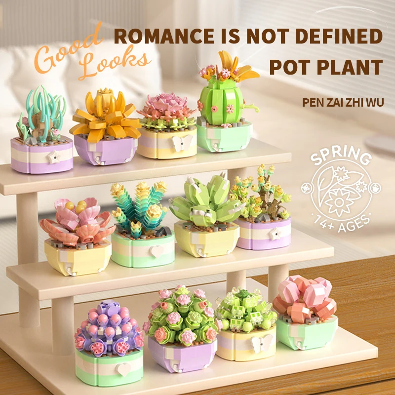 Цветочные суккуленты, строител – обзор и цена Bonsai Garden Pot