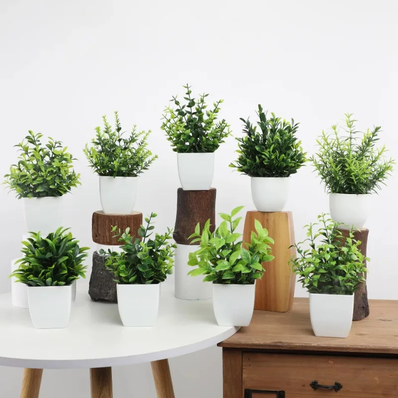 Оптовая продажа OEM/ODM искусс – обзор и цена Bonsai Garden Pot