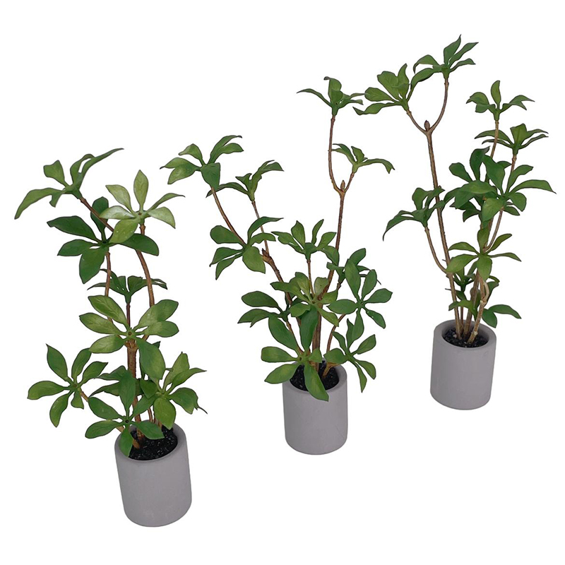 1:6 кукольный домик, миниатюрн – обзор и цена Bonsai Garden Pot