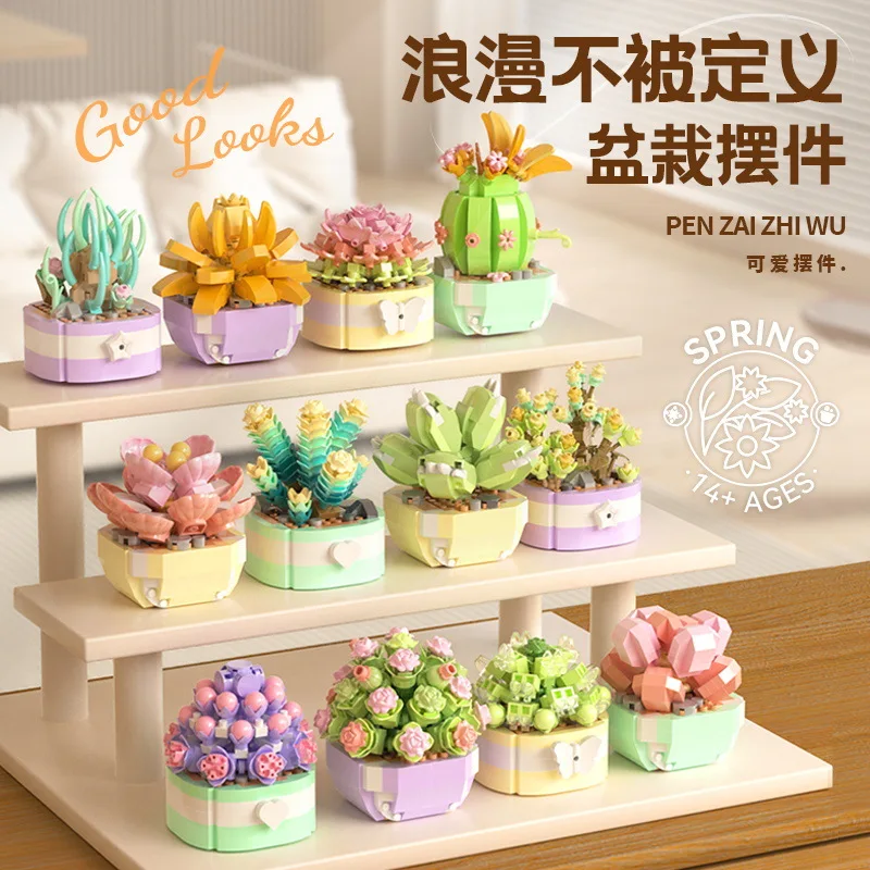 Цветочные суккуленты, строител – обзор и цена Bonsai Garden Pot