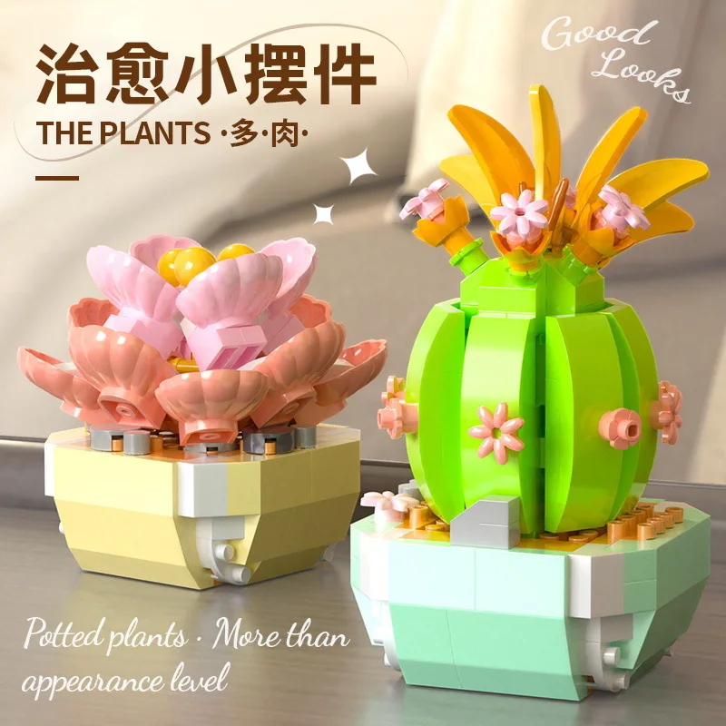 Цветочные суккуленты, строител – обзор и цена Bonsai Garden Pot