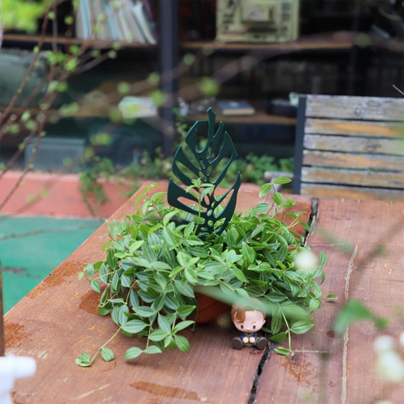 Подставка для скалолазания с р – обзор и цена Bonsai Garden Pot